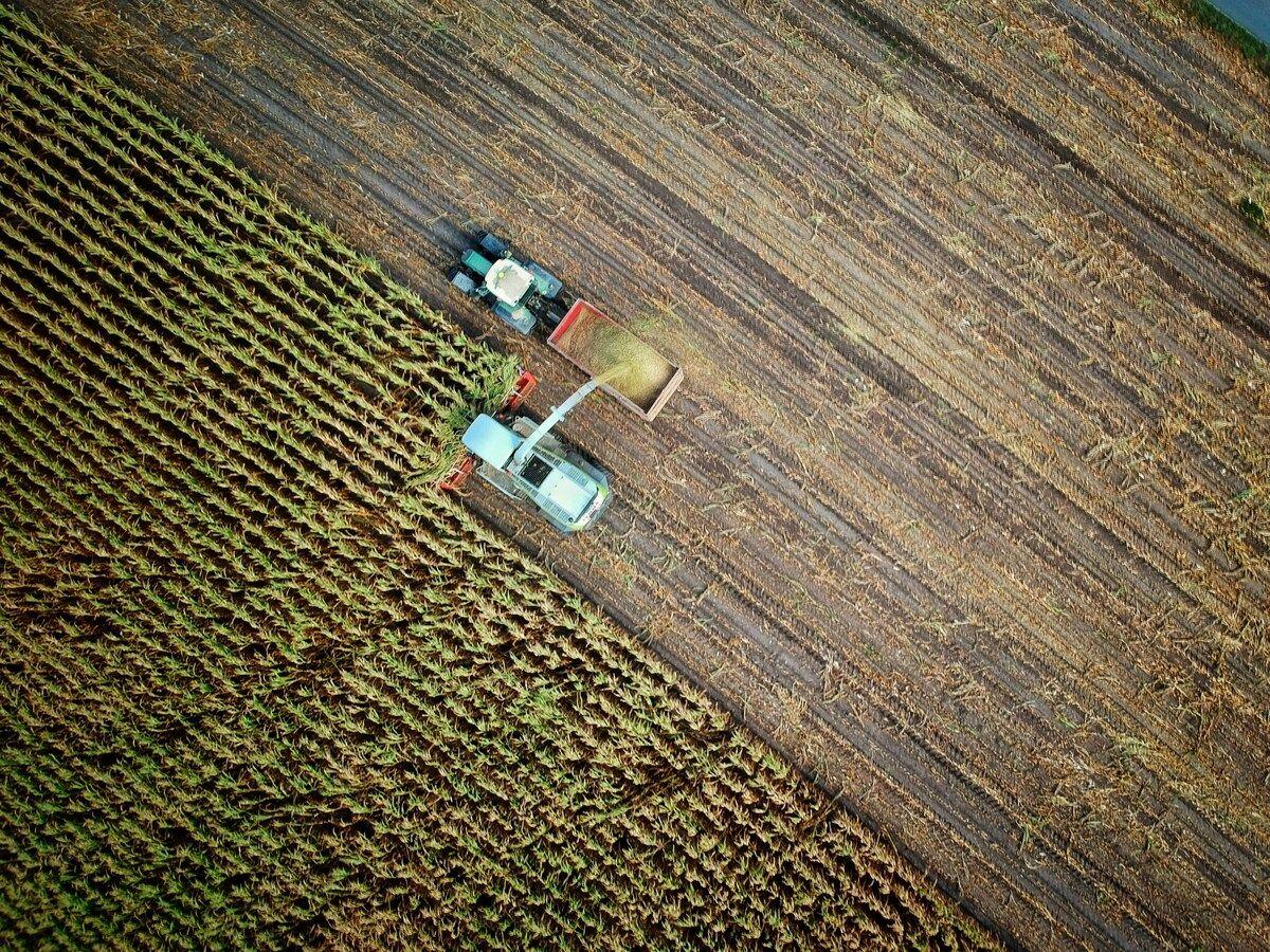 6 agritech qui luttent contre l’urgence climatique