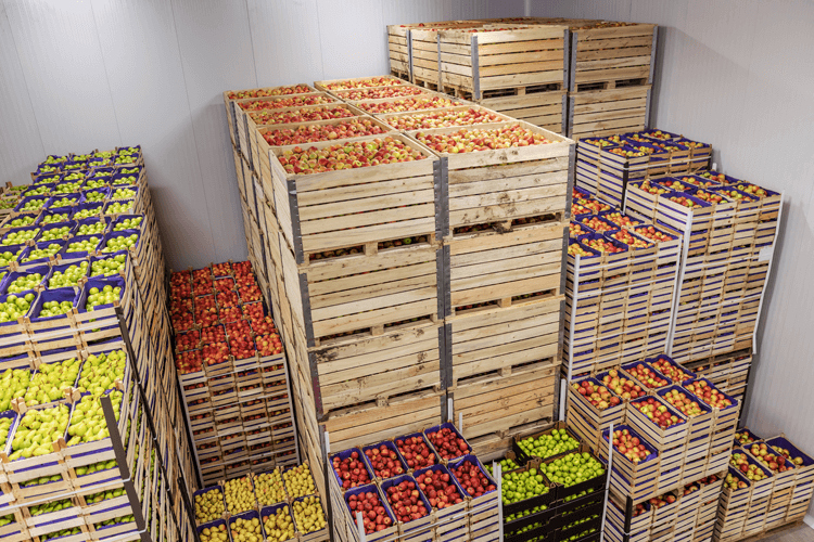 Foodomarket lève 11 millions d’euros pour accélérer son développement