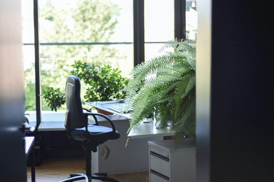 Optimisez votre productivité grâce à la QVT : les meilleures pratiques à adopter