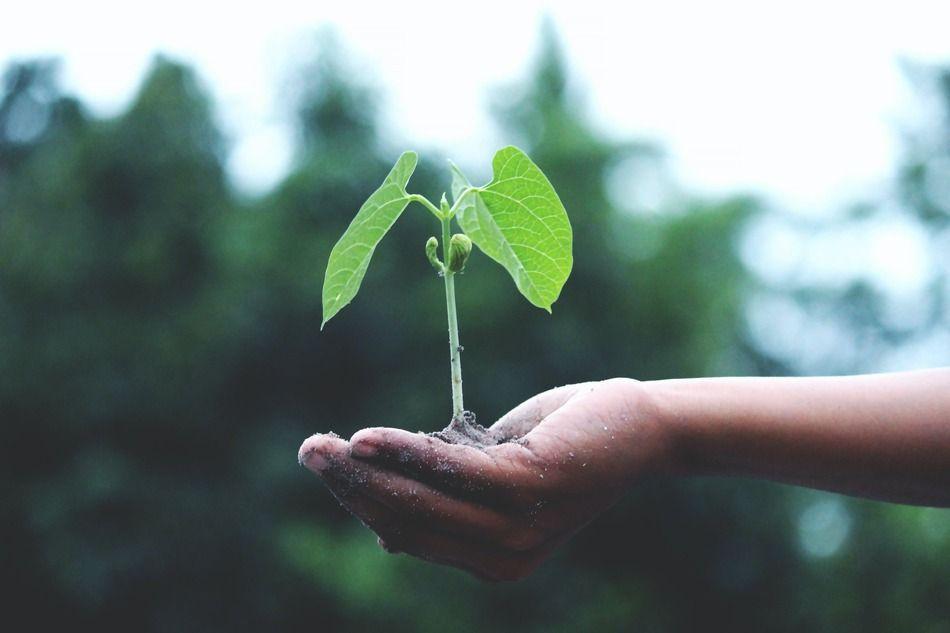 Quel label RSE choisir pour votre entreprise ?