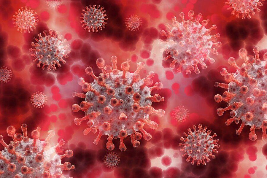 LoValTech : la Medtech française avance dans son vaccin anti-Covid par voie nasale