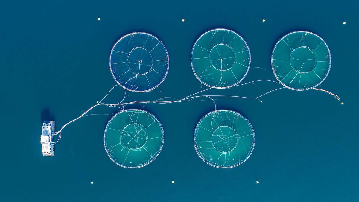 BiOceanOr lève 2 millions d’euros pour sa station sous-marine connectée