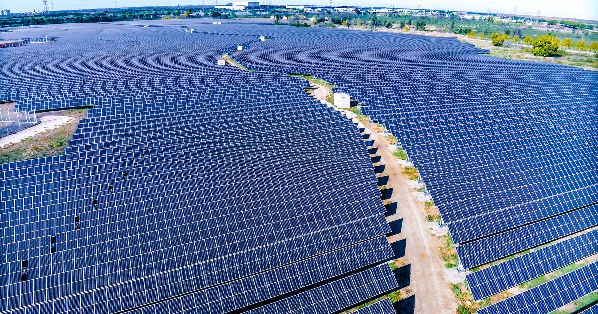 Guyane : TotalEnergies abandonne son projet de centrale photovoltaïque
