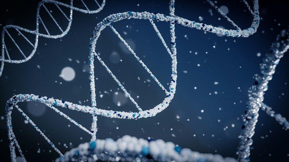 Bioptimus lève 35 millions de dollars pour se lancer sur le marché de l’IA dédiée à la biologie