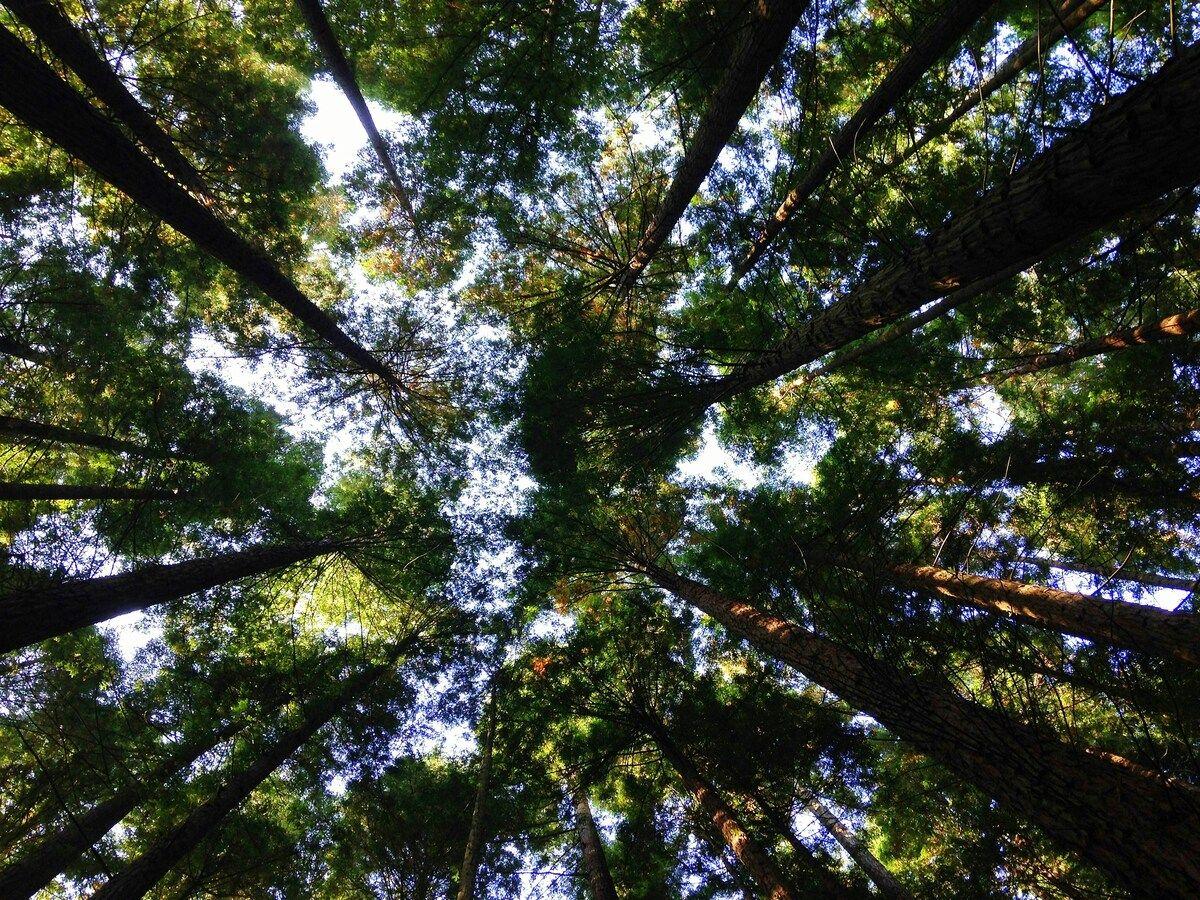 Journée mondiale de l’environnement : 5 entreprises qui trouvent des solutions pour le climat