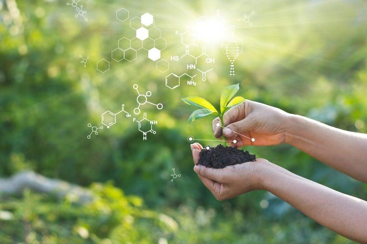 Agritech : Starfish Bioscience, spécialiste de la régénération des sols, lève 1,6 M€
