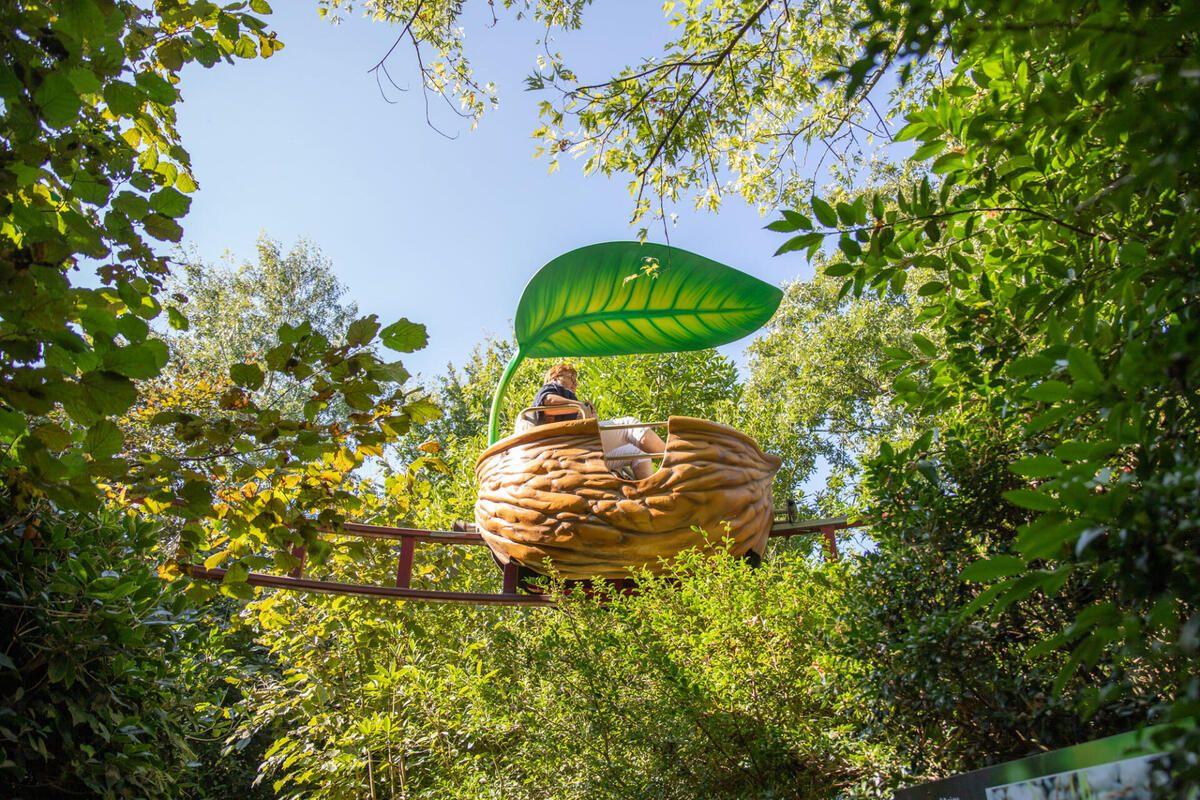 Looping, spécialiste de la gestion de parcs d’attractions, reprend Terra Botanica