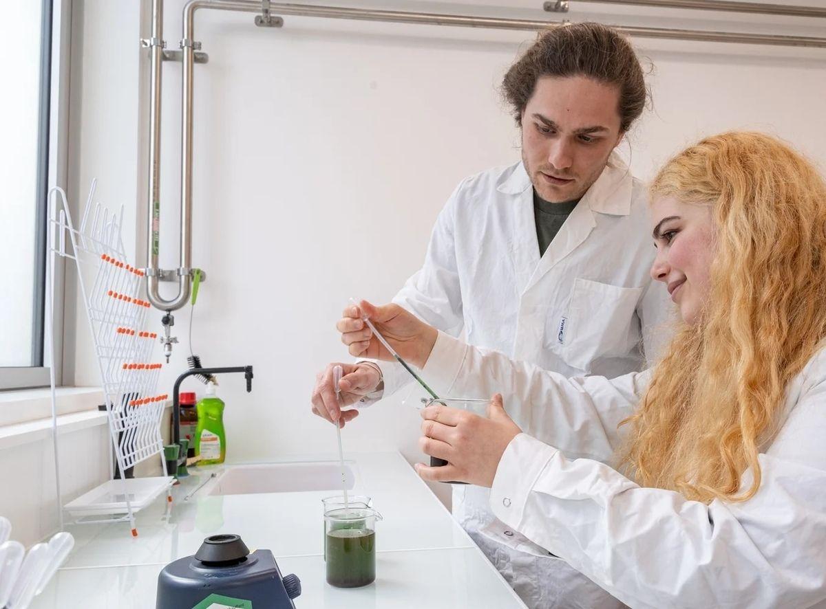 Edonia lève 2 millions d’euros pour révolutionner les protéines végétales grâce aux microalgues