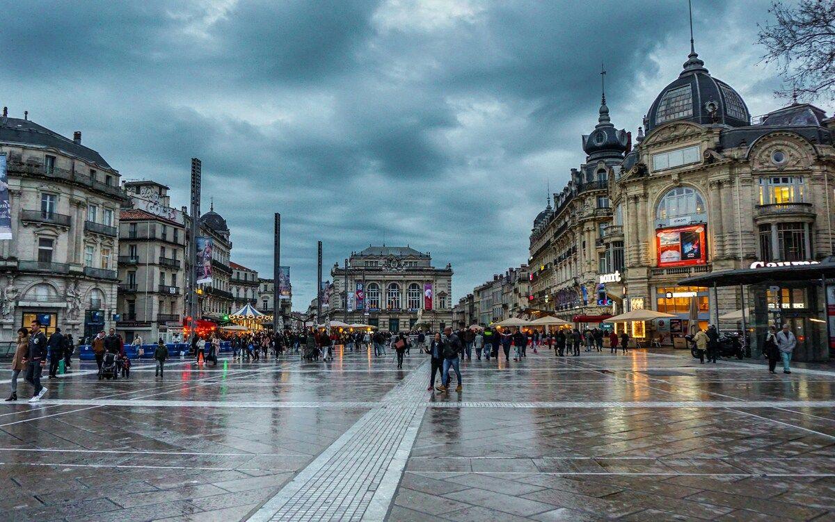 Montpellier devient la première ville européenne à proposer la gratuité pour ses transports publics