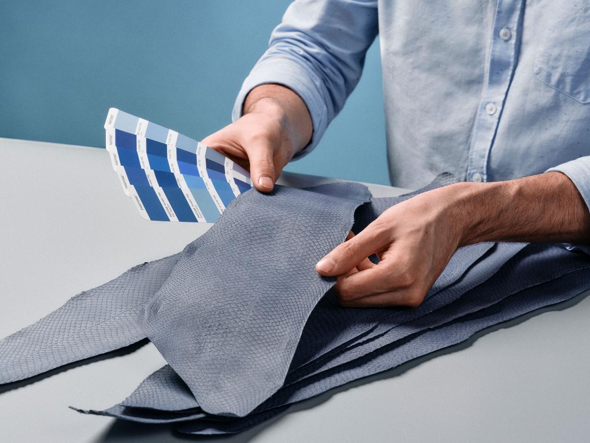 Ictyos lève 1,4 million d’euros pour développer le cuir à base de peau de poisson