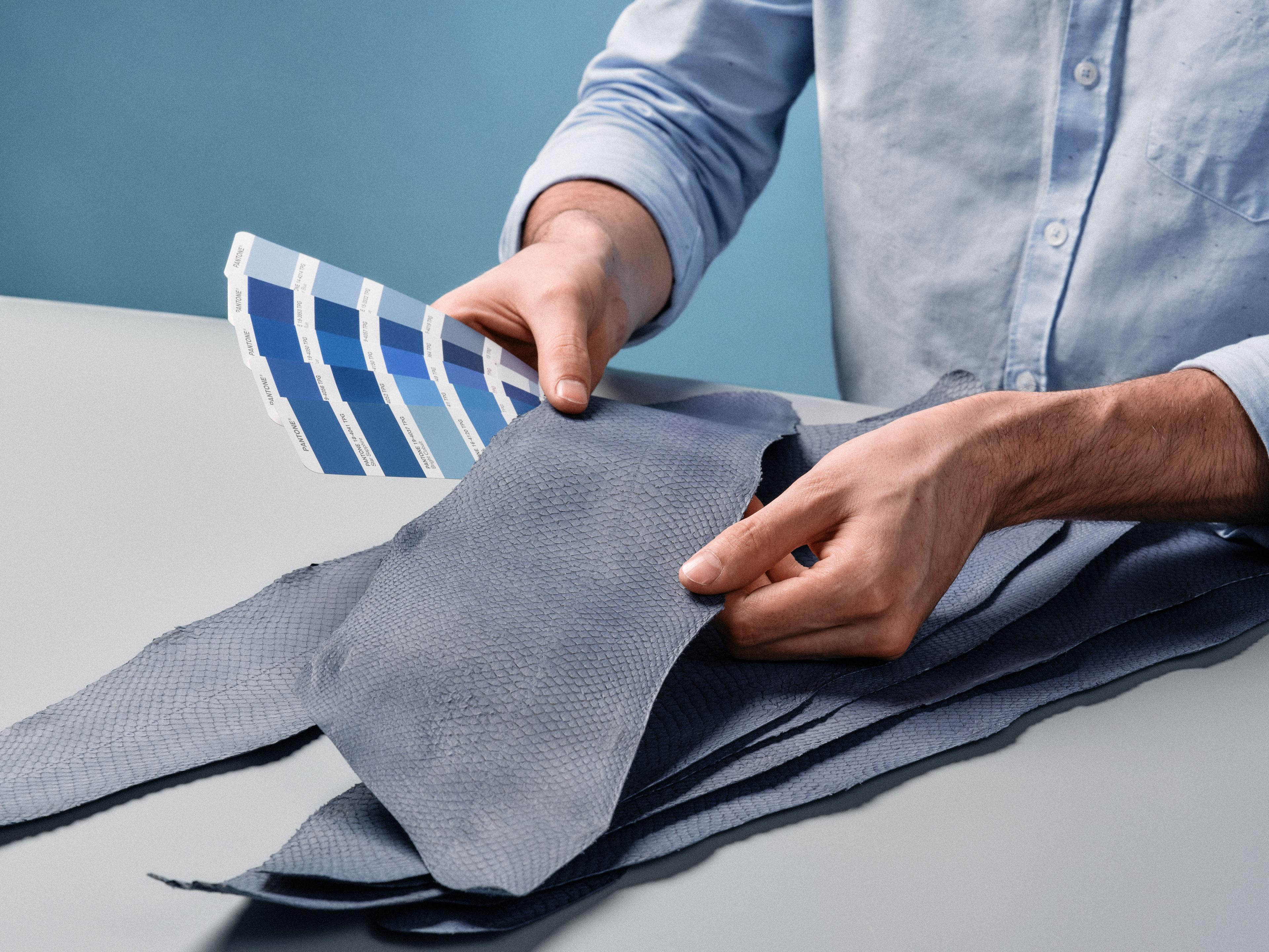 Ictyos lève 1,4 million d'euros pour son cuir de poisson