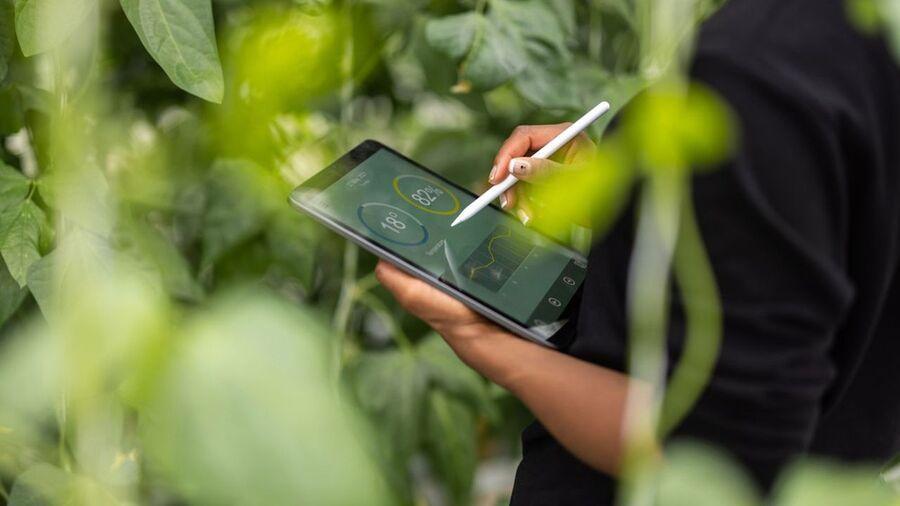 IMPACT+ lève 2 M€ pour décarboner les campagnes publicitaires digitales