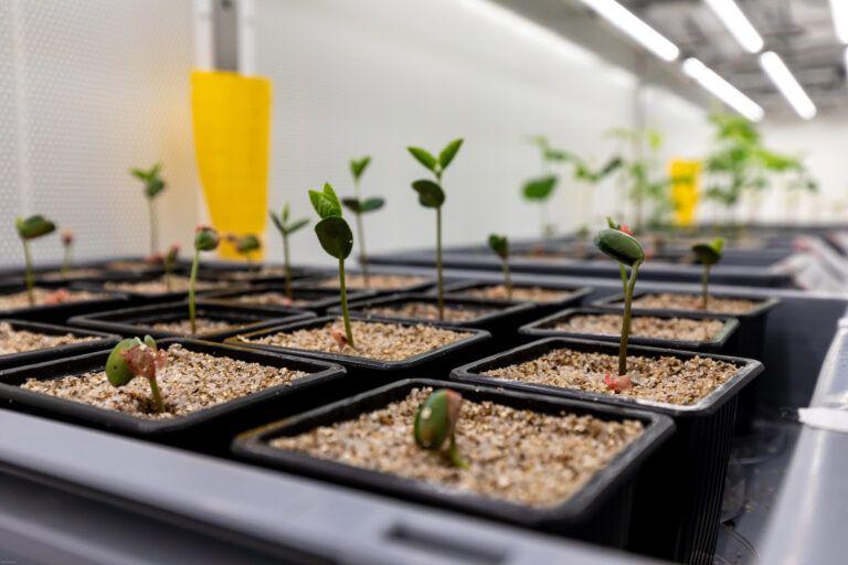 Micropep boucle sa série B avec 10 M€ supplémentaires