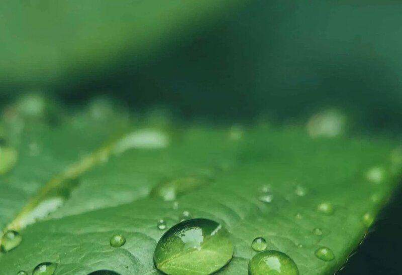 Le groupe français Berkem acquiert l'américain i.Bioceuticals