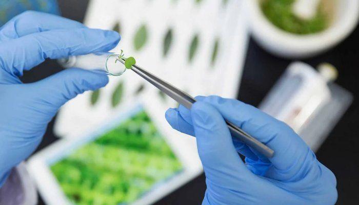 L'Oréal investit dans l'entreprise Biotech Debut