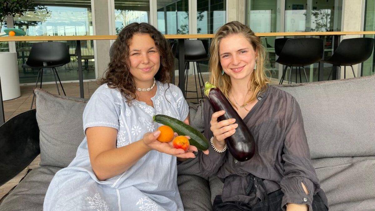 Anti-gaspi : PimpUp lève 1,7 M€ pour devenir un acteur clé de l’économie circulaire