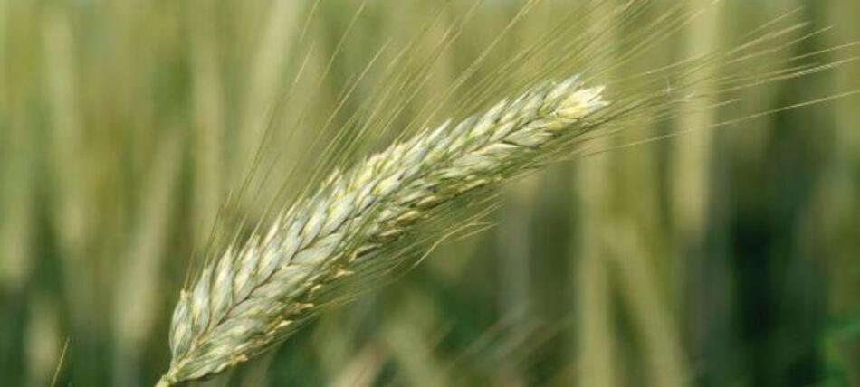 Eurofins, le géant français des laboratoires d’analyses, acquiert le groupe suisse SGS Crop Science