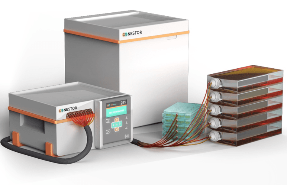 Culture cellulaire : Cellaven a levé 2,8 millions d'euros