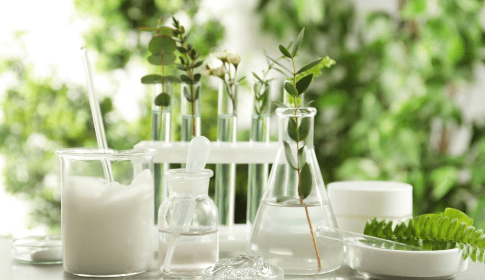 La startup rennaise SurfactGreen lève 10 M€