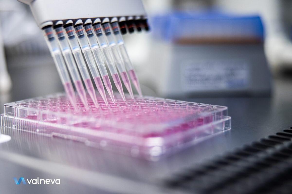 Valneva et LimmaTech s'allient pour développer un vaccin contre la shigellose