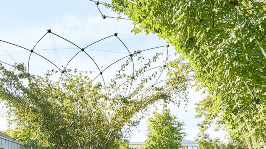 Urban Canopée lève 2,7 millions d’euros pour verdir les villes et lutter contre le changement climatique