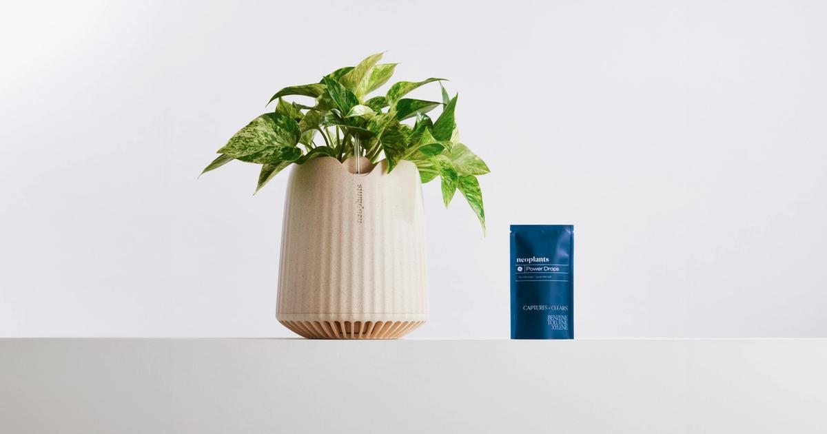Neoplants réinvente la purification de l'air avec ses plantes biotechnologiques