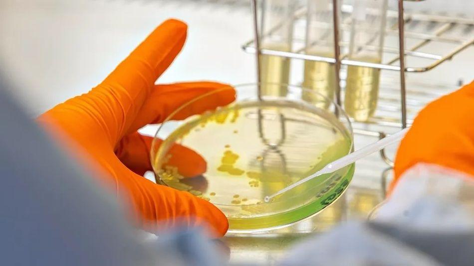 Antabio lève 25 millions d’euros pour combattre la résistance aux antibiotiques