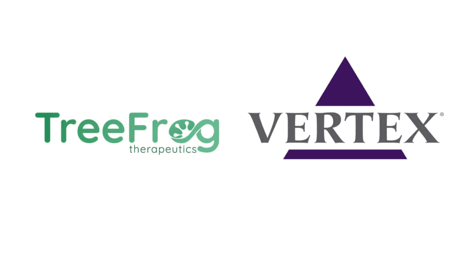 L’américain Vertex va utiliser les technologies du français TreeFrog Therapeutics contre le diabète de type 1